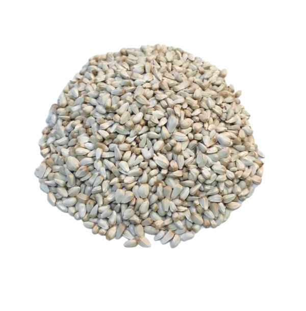 Safflower Seed