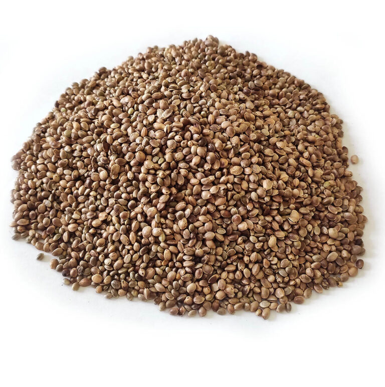 Hempseed (cy)