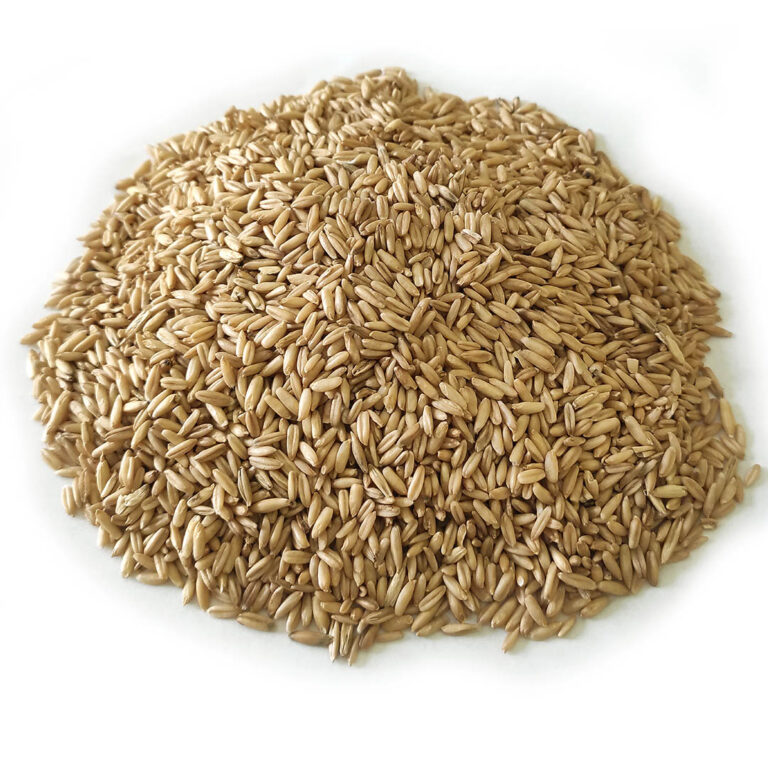 Oat Unhulled (cy)