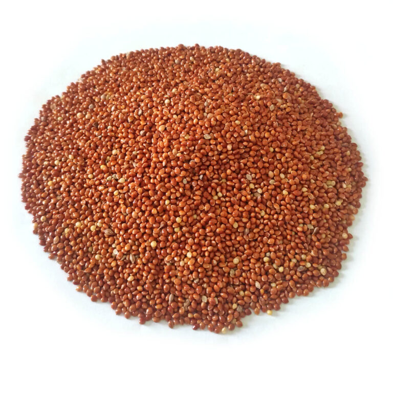 Red Millet (cy)
