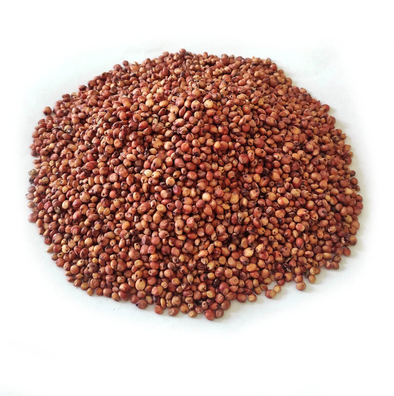 Red Sorghum (cy)