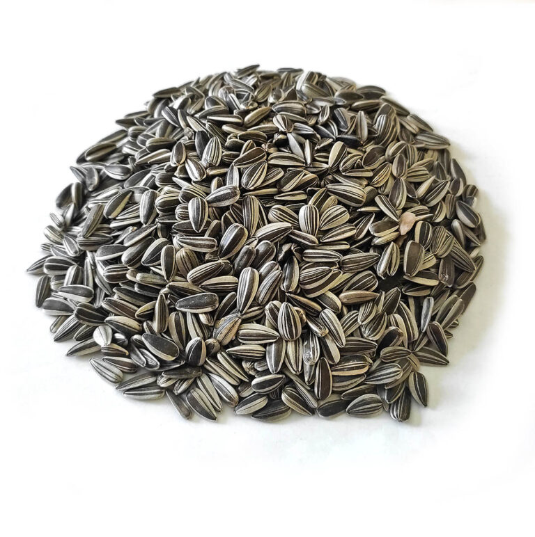 Striped Sunflower Seed (cy)