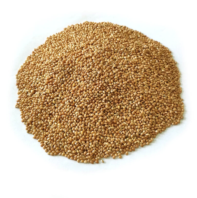 Yellow Millet (cy)