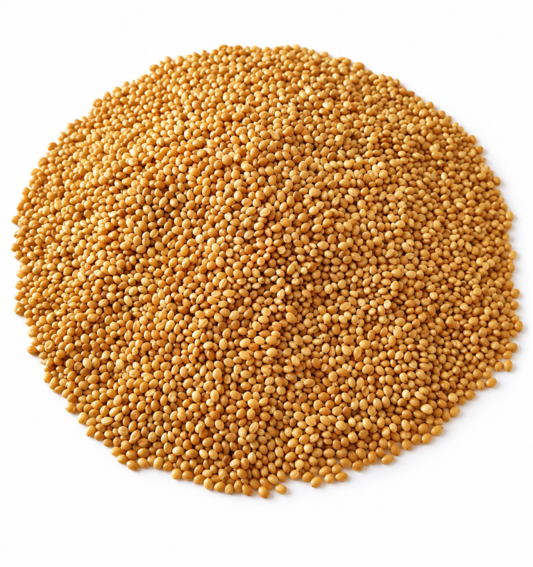 Yellow Millet Cu